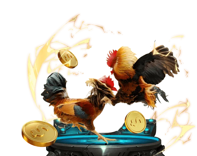 Đá Gà E2BET